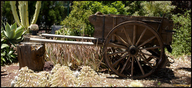 Image Hosted by ImageShack.us